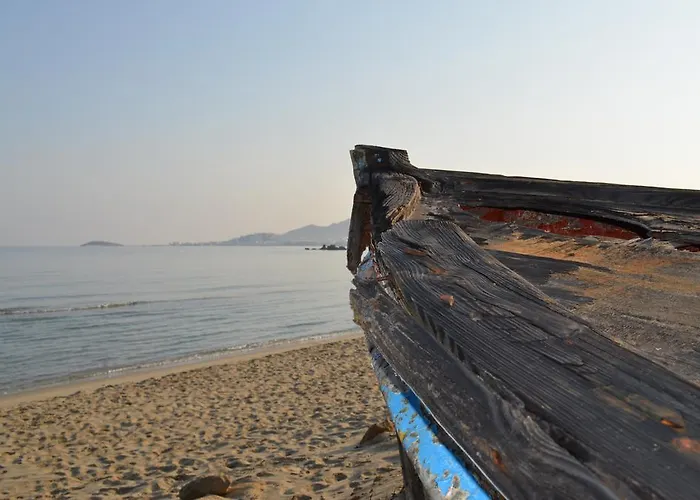 Marandi Luxury Стелида